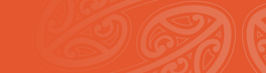 Kowhaiwhai Orange Header